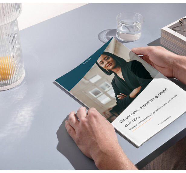 Hindistan e-ticaret pazarında online satış büyütme stratejileri ve platform yönetimi rehberi